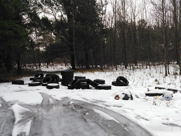 Klaipėdos rajono miškuose – kalnai padangų