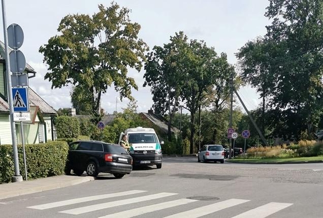Girtas vairuotojas atakavo gyvatvorę
