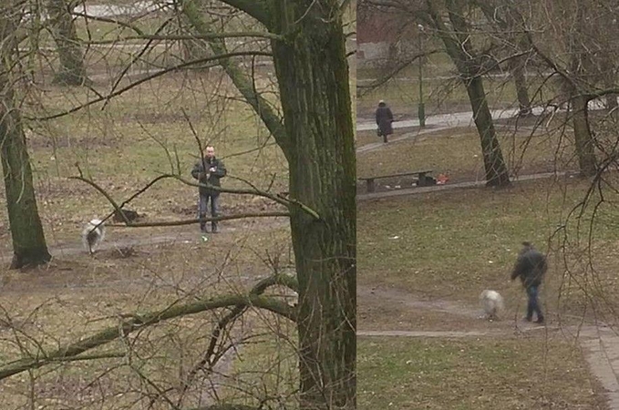 Gėda: klaipėdietė užfiksavo, kaip vyras ne tik nesusirenka savo augintinio išmatų, bet mėto šiukšles, kur papuola.