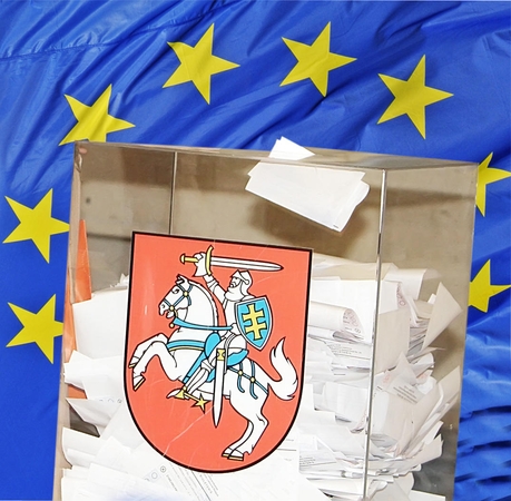 Nepakliuvo: Europos Parlamento rinkimuose dalyvavo 12 klaipėdiečių, atstovavusių įvairioms politinėms jėgoms, tačiau nė vienas jų šių rinkimų nelaimėjo.