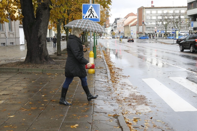 Rūpesčiai: nuolat merkiantis lietus apsunkina ir miesto prižiūrėtojų darbą – jiems tenka nuo grindinio valyti priplaktus medžių lapus.