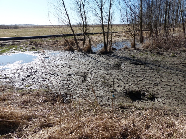 Situacija: aiškinama, kad į pievas pumpuojama tai, ką į uostelio užutėkį sunešė pats Nemunas.