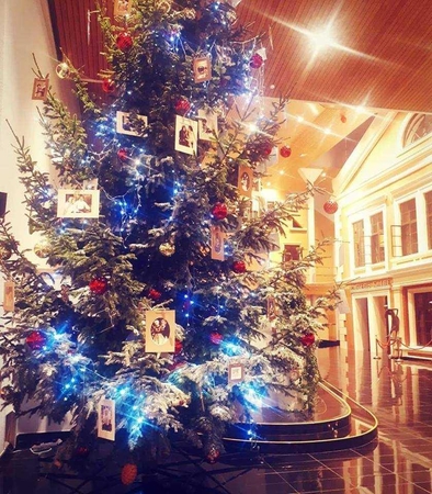 Klaipėdos dramos teatras kviečia žiūrovus pasigrožėti egle ne tik Teatro aikštėje, bet ir jo viduje.