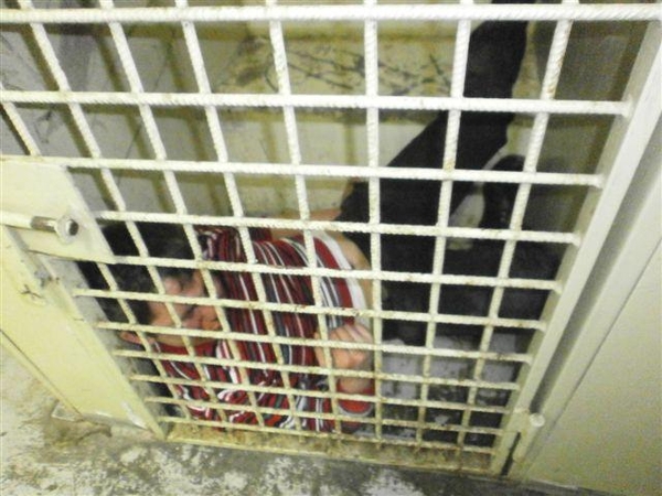 Policijos pareigūnai išaiškino vagystę