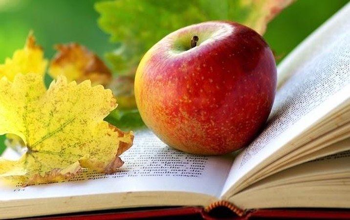 Literatūros šventė pamaryje provokuos skaityti