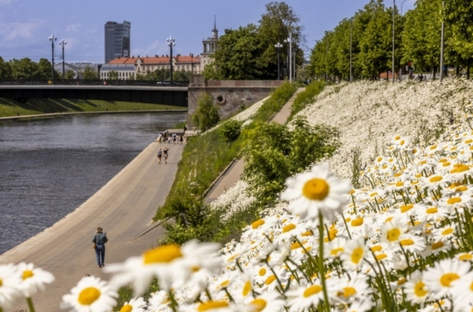 Ieškoma, kas Vilniuje įrengs prieplaukas kelionėms Nerimi