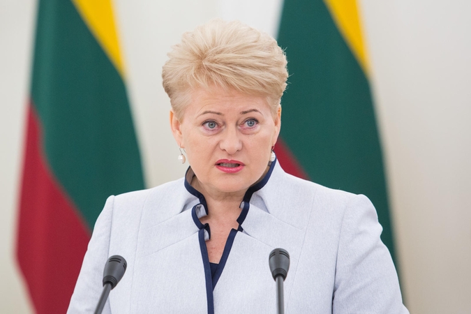 Prezidentė vetavo įstatymą, kuris leistų Seimo pirmininkei siūlyti daugiau VTEK narių