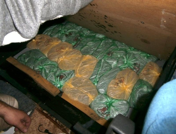 Rusai į Lietuvą mėgino įvežti per 170 kilogramų gintaro