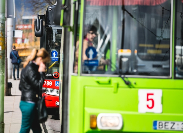 Kauno autobusus užplūdo zuikiai