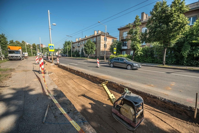 Vietoj senų medžių žada naujus
