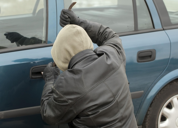 Už vagystę iš automobilio 16-metis nuteistas kalėti pusmetį