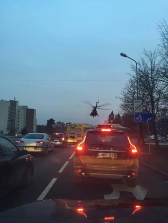 Organus gabenantys sraigtasparniai leidžiasi pievose ir stadionuose