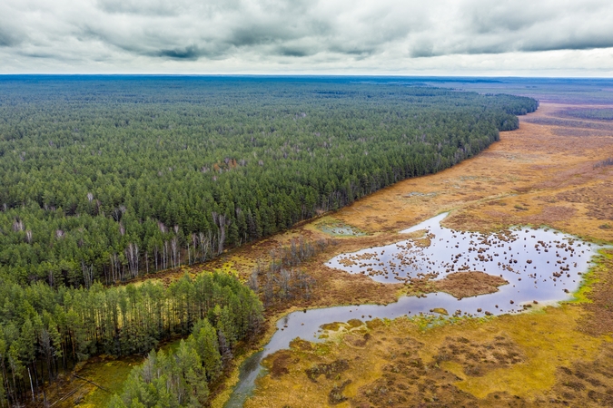 Lietuvoje minima Pasaulinė pelkių diena, organizuojami žygiai