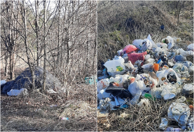 Įsikūrė: šalia miesto centrinio stadiono, sutempęs kalną atliekų, savo gūžtą čia įsirengė benamis.