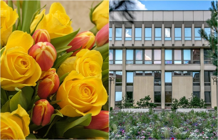 Seimas už 66 tūkst. eurų ketina pirkti skintų gėlių