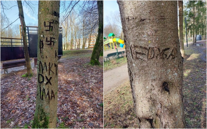 Pasidarbavo: kažkas parko medžių kamienuose peiliu skaptavo ne tik keistus užrašus, bet ir svastikas.