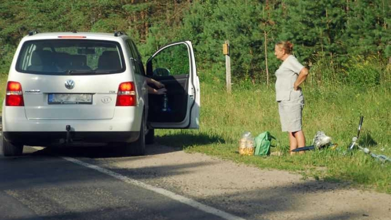 Pavojų vairuotojams kelia ir grybautojai