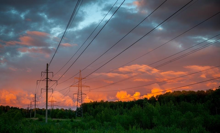Elektra 15 proc. atpigo visose Baltijos šalyse