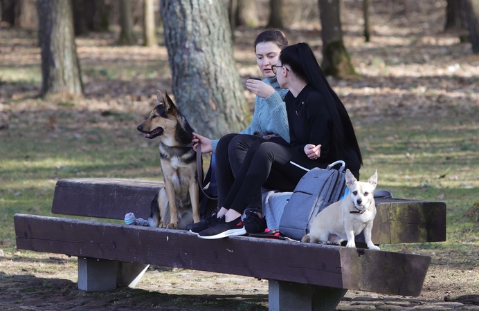 Lietuvoje paženklintas kas ketvirtas gyvūnas augintinis, bet vėluojantiems baudų nebus