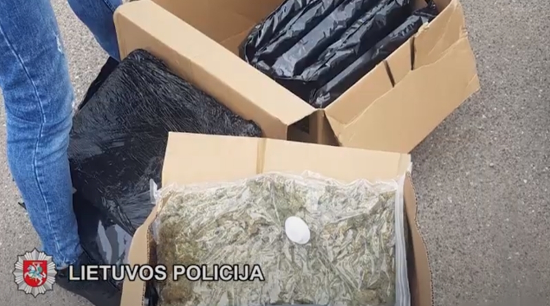 Klaipėdoje atliekamas tyrimas dėl 220 tūkst. eurų vertės kanapių kontrabandos