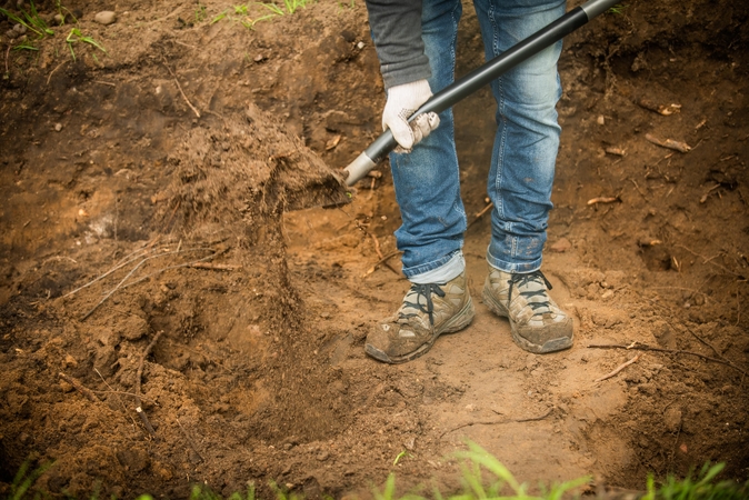 Ant Tauro kalno Vilniuje archeologai rado karstą su paauksuotu kardu 