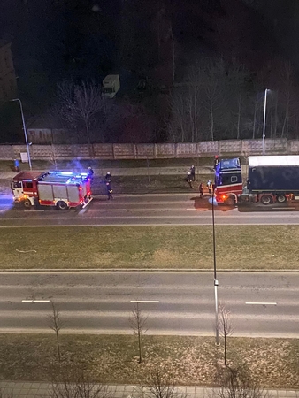 Iš Suomijos atvairuoto vilkiko užkaitęs bakas sukėlė ant kojų ugniagesius