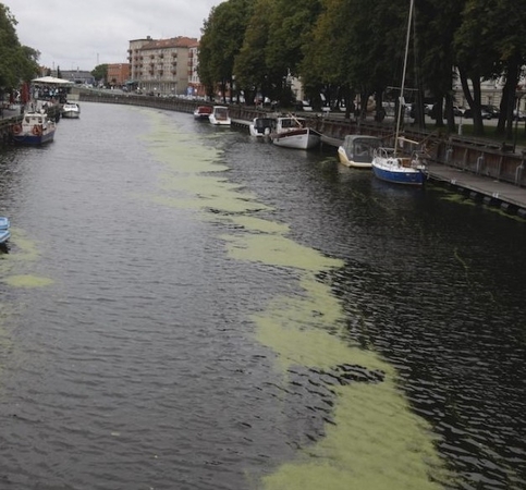 Pranešta apie Dangės upėje pastebėtą žmogaus siluetą