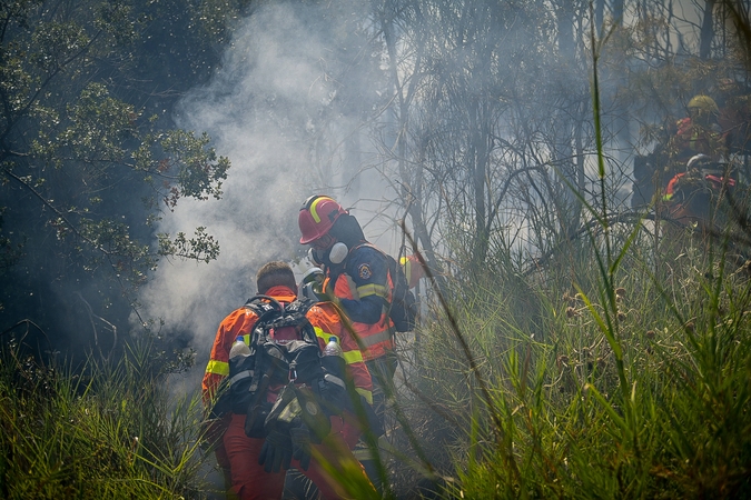 Po daugybės miško gaisrų Graikijos vyriausybė planuoja sugriežtinti bausmes už padegimus
