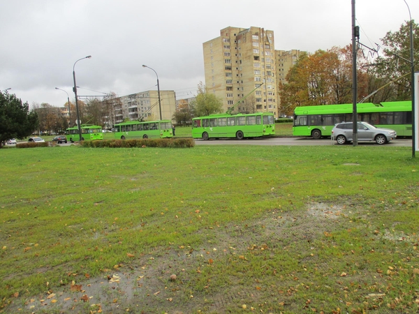 Kaip spręsti automobilių ir viešojo transporto vairuotojų konfliktus