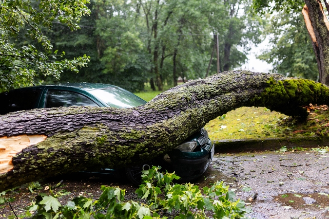 Ugniagesiai 500 kartų vyko šalinti audros padarinių, elektros tiekimas vis dar sutrikęs