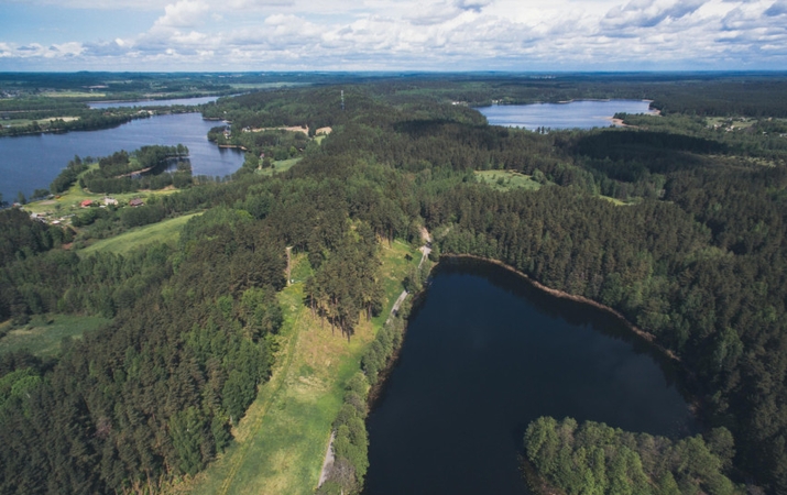 17 hektarų Ginučių ąžuolyno siūloma perduoti Aukštaitijos nacionaliniam parkui