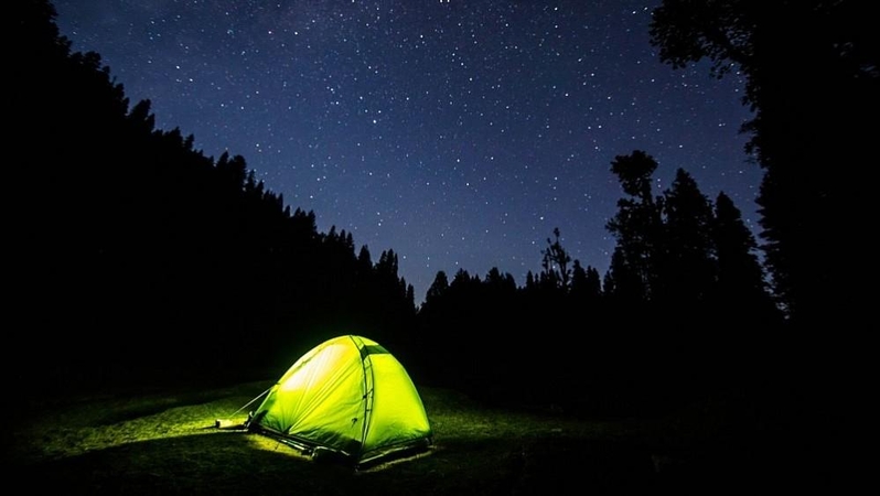Kviečia Jonines sutikti ieškant jonvabalių