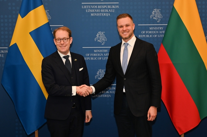 Tobiasas Billstromas ir Gabrielius Landsbergis
