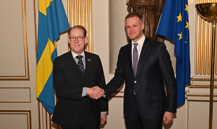 Tobiasas Billstromas ir Gabrielius Landsbergis