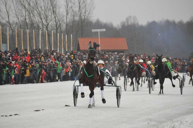 Ryškėja žirginio sporto šventės „Sartai 2018“ kontūrai