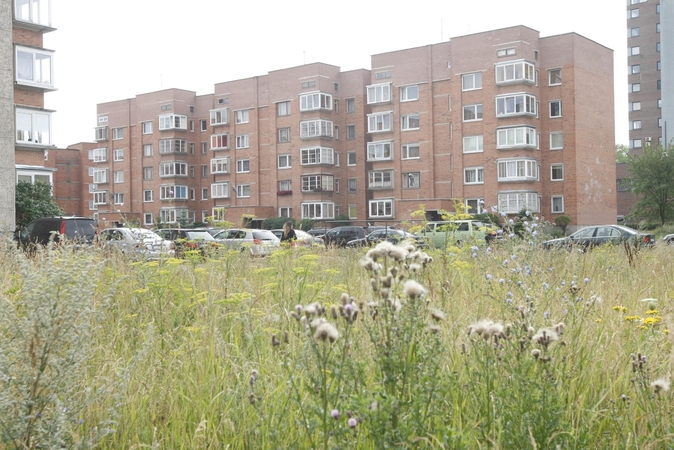 Ilgą laiką nešienaujama teritorija Baltijos prospekte piktina ne tik gyventojus, bet ir miesto savivaldybę.