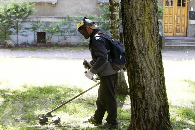 Nespėja šienauti piktžolių