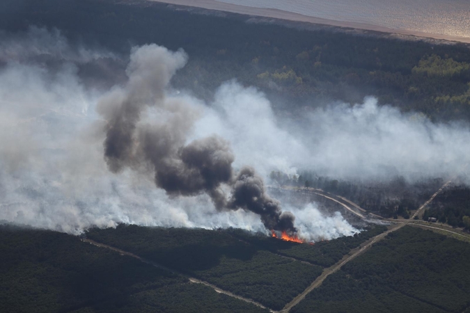 Gaisras Kuršių nerijoje sustabdytas, išdegė 62 hektarai miško (unikalios foto)