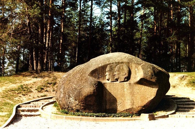 Aiškinamasi, ar Puntukui nepakenkė maudynės