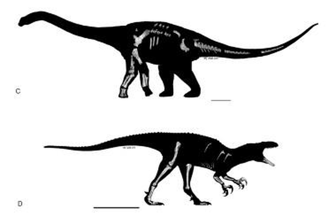 Rastos trys naujos dinozaurų rūšys
