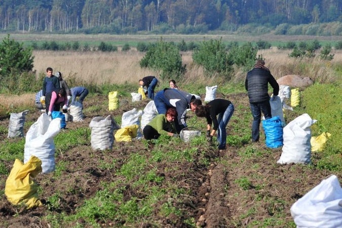 Siekiama įteisinti naują darbo santykių formą – paslaugų kvitus