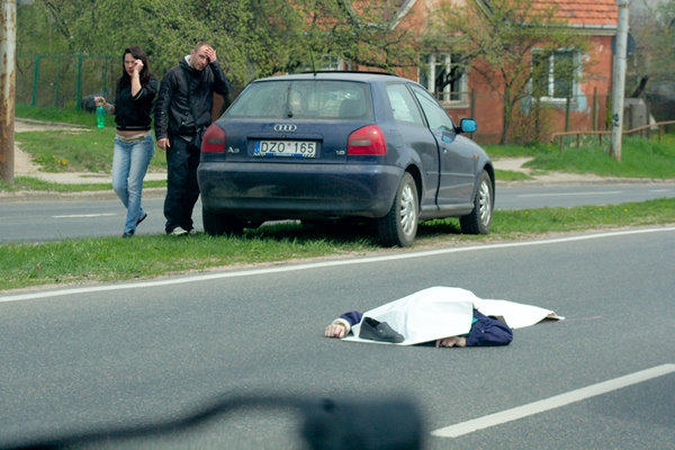 Vilniuje perėjoje žuvo partrenkta senolė