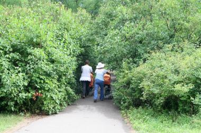 Klaipėdos poilsio parko vizija: šeimoms skirtas parkas