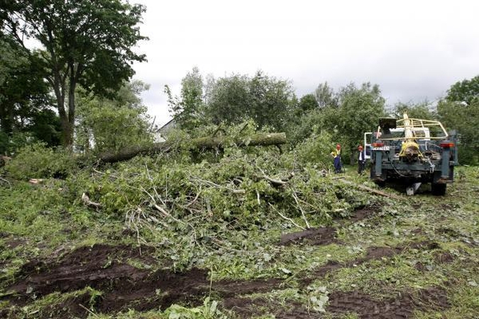 Dėl vėjovartų gali kilti grėsmė greta esantiems miškams