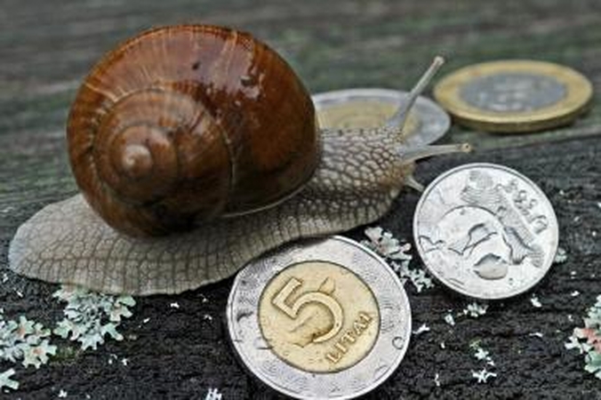 Finansinių sunkumų turinčių bendrovių vadovai steigia naujas įmones
