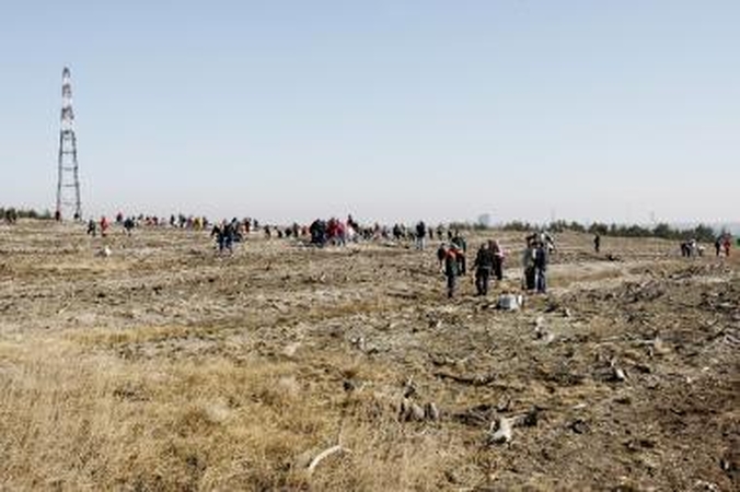 Medelių sodinimo akcija Kuršių nerijoje 