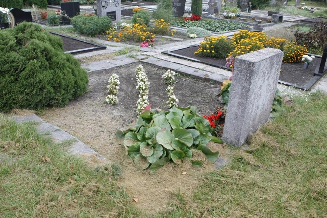 Vertinama istorinių Vilniaus kapinių būklė