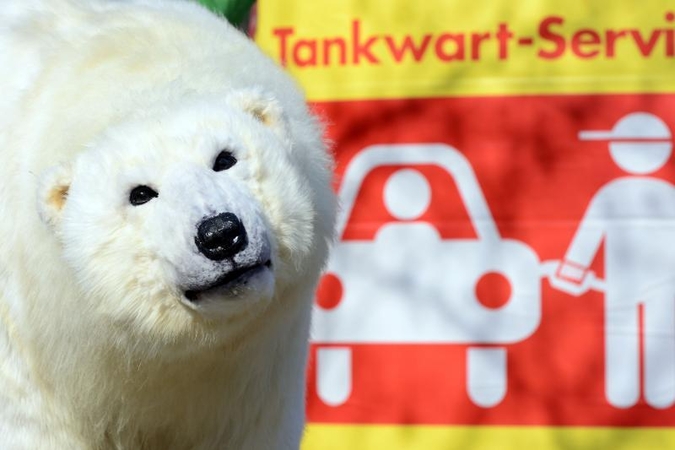 JT skelbia pavojų dėl rekordinio Arkties ledo tirpsmo