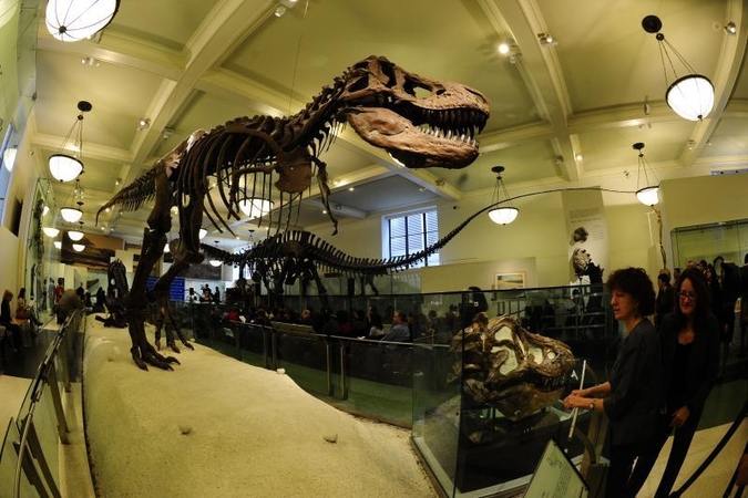 Dinozaurams gresia dar vienas išnykimas?