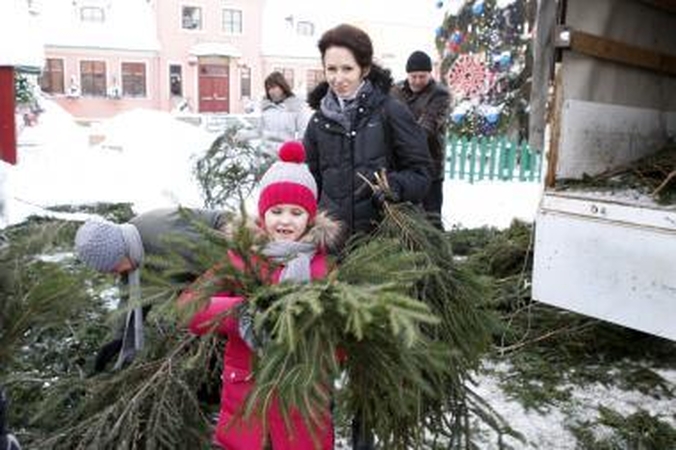Klaipėdiečiai plūdo prie nemokamų eglišakių